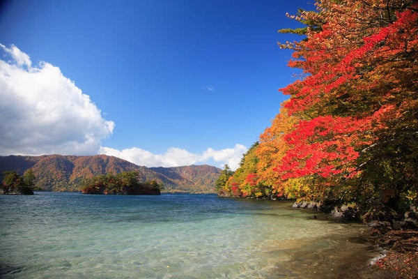 【大分空港発】 わずか10日間だけの絶景!弘前城紅葉特別ライトアップと錦模様の十和田・奥入瀬3